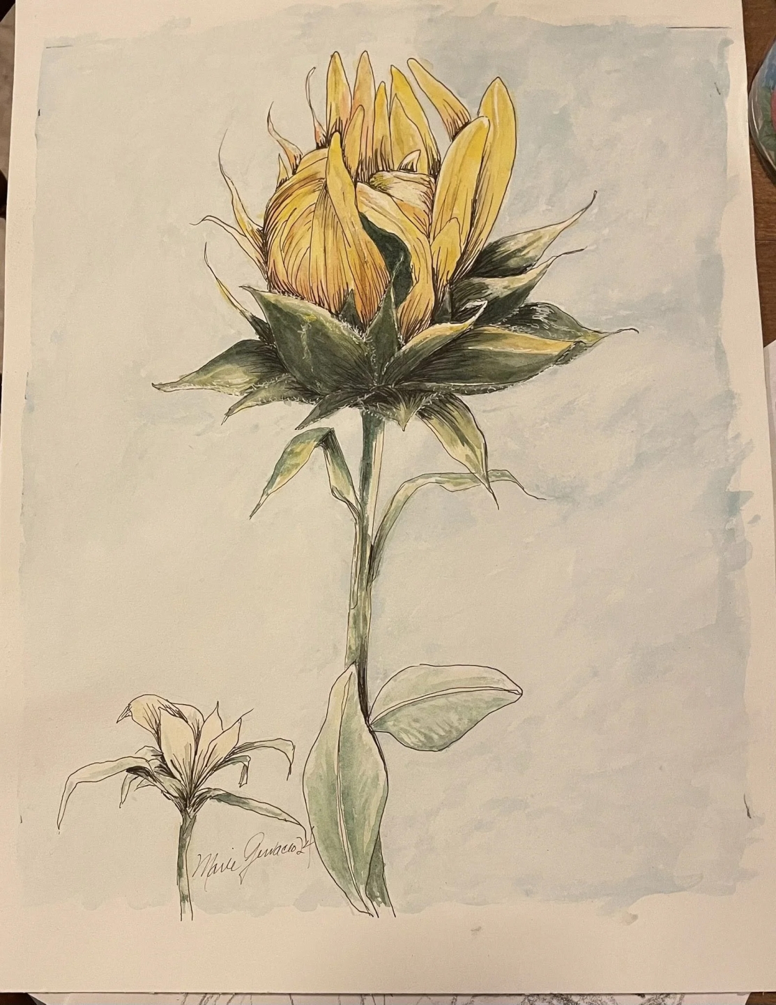 Ink & Watercolor: Creative Exploration for Beginners with Marie Gervacio - Spring 1