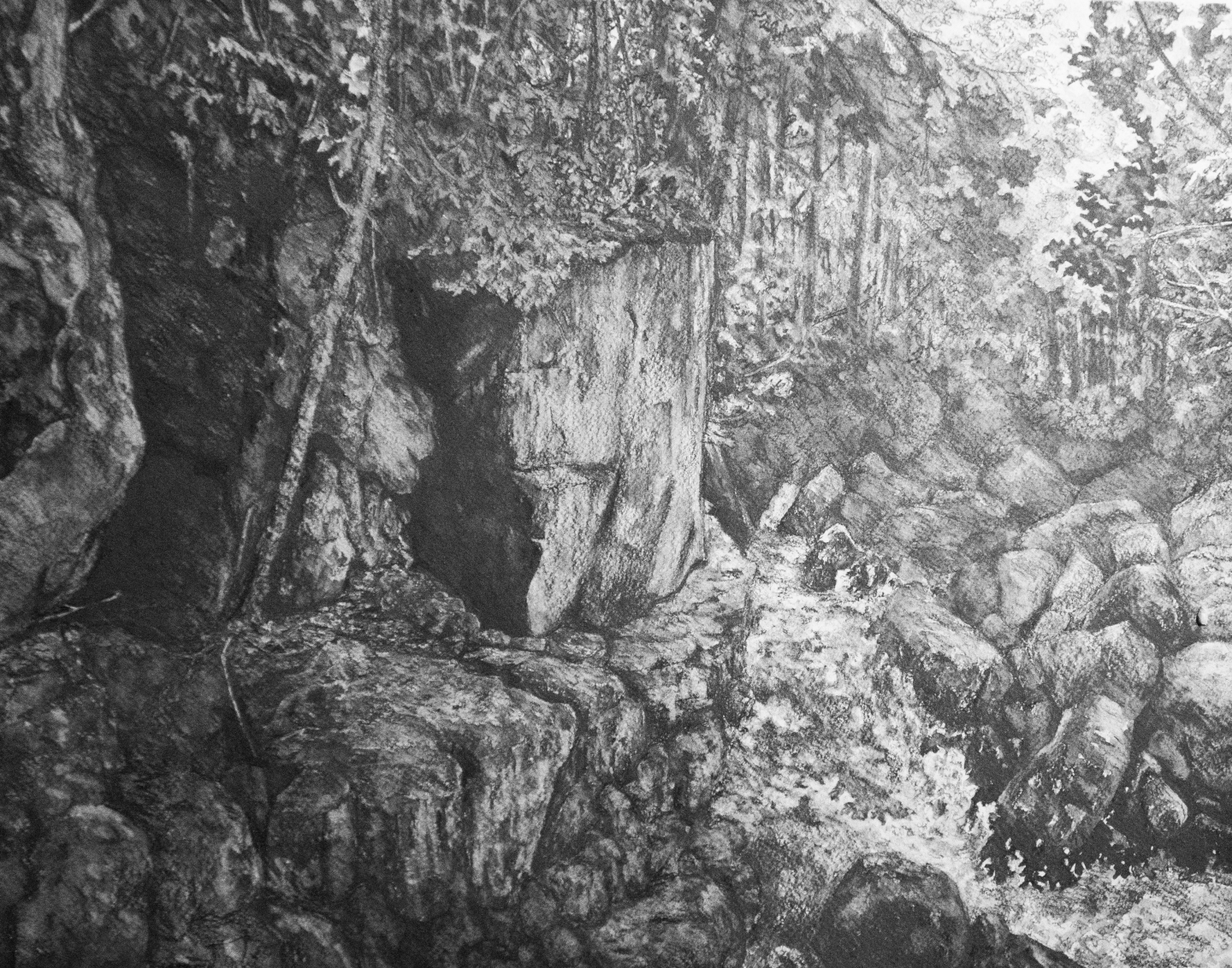 Drawing the Landscape: Up Close and Far Away with Joe Montroy (4 weeks) - Spring 1