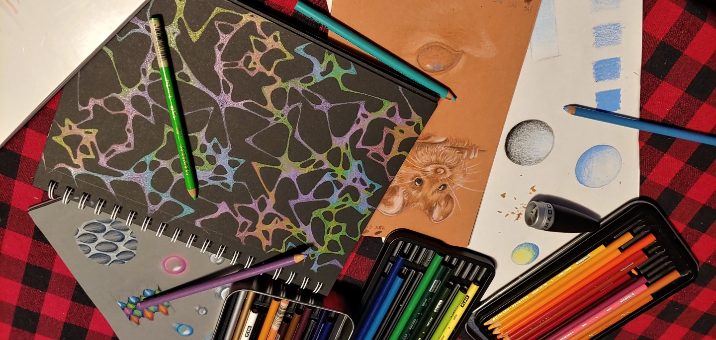 Exploring Colored Pencil Techniques with Natalie Lessard - Spring 2