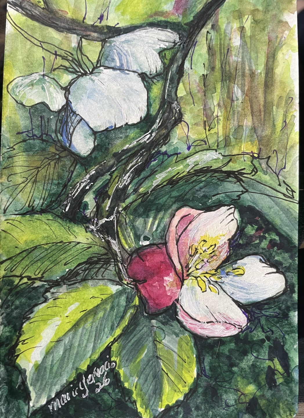Ink and Watercolor with Marie Gervacio - Summer